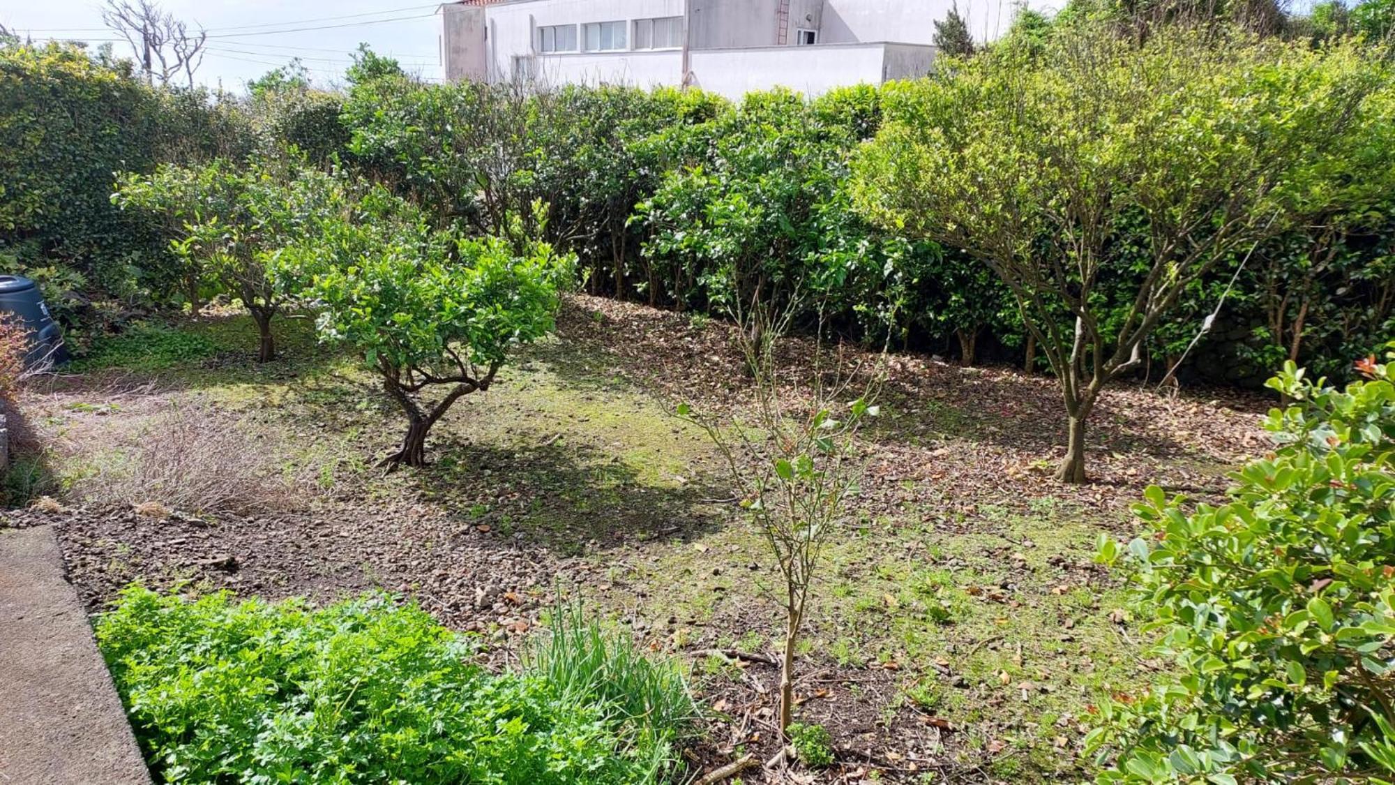Retiro Das Camelias 1 Lajes das Flores Esterno foto